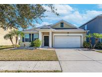 One-story house with a two-car garage and well-maintained lawn at 11536 Tangle Stone Dr, Gibsonton, FL 33534