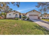 Single-story home with a two-car garage and well-maintained lawn at 1803 Tawnee Pl, Brandon, FL 33510