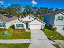 New home exterior with a two-car garage and well-manicured lawn at 34219 Sorrel Mint Dr, Wesley Chapel, FL 33543