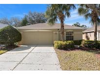 Tan house with a two-car garage and landscaping at 10833 Collar Dr, San Antonio, FL 33576