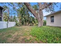 Spacious backyard with lush greenery and large shade tree at 5815 114Th N Ter, Pinellas Park, FL 33782