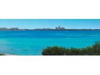 Stunning panoramic ocean view from condo at 100 Oakmont Ln # 309, Belleair, FL 33756