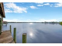 Wooden dock extending over calm water with distant view at 8839 W Millpoint Rd, Riverview, FL 33578