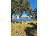 Tranquil lakefront property with seating area, offering peaceful views at 1010 Bowsprit Ln # 0, Holiday, FL 34691