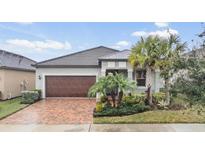 One story home with gray walls and palm trees at 31703 Cabana Rye Ave, San Antonio, FL 33576