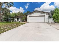 White house with attached garage and a spacious driveway, surrounded by lush greenery at 3915 Briarlake Dr, Valrico, FL 33596