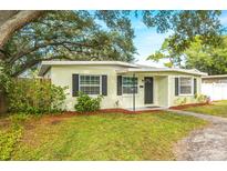 Updated light-green house with landscaped yard and driveway at 4113 S Drexel Ave, Tampa, FL 33611