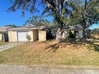 Single story home with attached garage and mature landscaping at 5205 Landsman Ave, Tampa, FL 33625