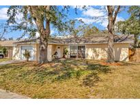 Inviting single-story home with a well-maintained yard and mature trees providing shade and curb appeal at 5205 Landsman Ave, Tampa, FL 33625