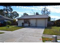 One-story house with attached garage and landscaped lawn at 10611 Fairfield Village Dr, Tampa, FL 33624