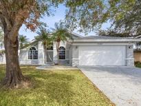 Charming house with gray exterior, white garage door, and landscaped lawn at 11123 Elmhurst Dr, Pinellas Park, FL 33782