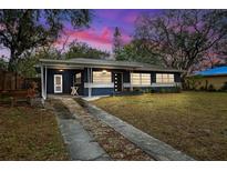 Updated home exterior boasts a stylish blue facade, and a well-manicured lawn at 218 W Seneca Ave, Tampa, FL 33612