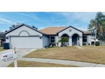 One-story home with a two-car garage and well-manicured lawn at 4209 Amber Ridge Ln, Valrico, FL 33594