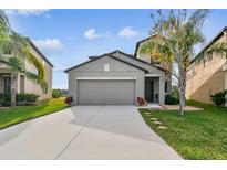 Two-story house with gray siding, two-car garage, and landscaped lawn at 11127 Hudson Hills Ln, Riverview, FL 33579