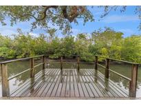 Wooden dock overlooking a calm waterway, perfect for relaxing at 8703 Driftwood Dr, Tampa, FL 33615