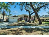 Pink house with mature landscaping and a two-car garage at 10424 Nightengale Dr, Riverview, FL 33569