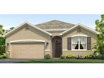 Single-story home with neutral stucco siding, gray roof, and landscaping at 17347 Wheatberry Blvd, Parrish, FL 34219
