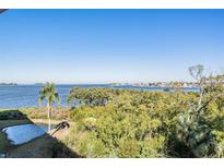 Stunning waterfront view with lush landscape and distant homes at 2700 Bayshore Blvd # 11301, Dunedin, FL 34698