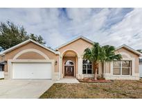 Tan house with palm tree, double doors, and a two-car garage at 1833 Hillcrest St, Tarpon Springs, FL 34689