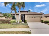 Tan one-story house with two palm trees, a two-car garage, and a landscaped yard at 205 Silver Falls Dr, Apollo Beach, FL 33572