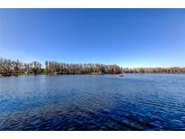 Expansive view of serene lake under clear sky at 6317 Discovery Ln, Land O Lakes, FL 34638