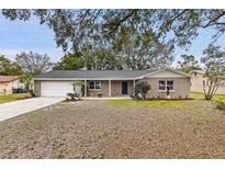 Newly renovated single-story home with a gray roof and landscaped yard at 8706 Elmdale Pl, Tampa, FL 33637