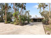 Landscaped front yard with palm trees and brick driveway at 8825 Oak St, Riverview, FL 33578