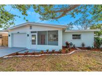 Charming light blue house with updated landscaping and a screened porch at 2238 13Th Sw Ave, Largo, FL 33770