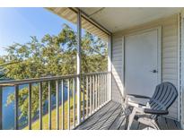 Private screened balcony overlooking a lake, offering tranquility and outdoor space at 3300 Haviland Ct # 303, Palm Harbor, FL 34684