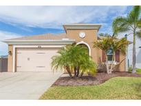 Tan house with two-car garage, landscaping, and palm trees at 6206 Windship Ct, Tampa, FL 33647