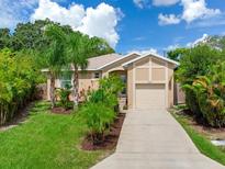 Tan house with palm trees, a grassy lawn, and a long driveway at 631 12Th N Ave, Safety Harbor, FL 34695