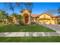 Charming home with a well-manicured lawn and a Mediterranean-style architecture at 9223 Highland Ridge Way, Tampa, FL 33647