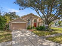 Tan house with red door, large tree, and well-manicured lawn at 3979 Jenita Dr, Palm Harbor, FL 34685