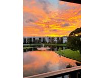 Stunning sunset view of lakefront community with lush landscaping at 6188 80Th N St # 402, St Petersburg, FL 33709
