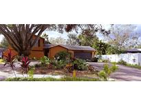 Attractive single-story house with a landscaped yard and a two-car garage at 13824 Cherry Brook Ln, Tampa, FL 33618