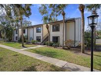 Exterior of a condo building with palm trees, landscaping, and walkway at 314 Moorings Cove Dr, Tarpon Springs, FL 34689