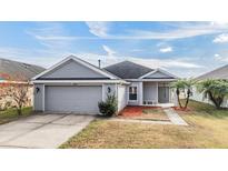 Gray house with two-car garage and landscaped yard at 9109 Oak Pride Ct, Tampa, FL 33647