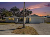 Updated single-story home with a large driveway and landscaped yard at 11828 Bingham Dr, Port Richey, FL 34668