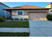 One-story home with attached garage, landscaping, and driveway at 13504 Red Ear Ct, Riverview, FL 33569