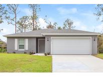 Newly constructed home with gray exterior, two-car garage, and well-manicured lawn at 3843 Laslo Ave, North Port, FL 34287