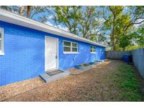 Newly painted blue home with a small yard and raised garden beds at 1107 E Chilkoot Ave, Tampa, FL 33612