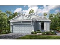 Two-story home with gray siding, two-car garage, and landscaping at 29571 Velletri Ln, Wesley Chapel, FL 33545