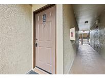 Condo building entrance with a brown door and hallway at 16431 Enclave Village Dr # 208, Tampa, FL 33647