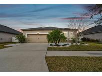 House exterior at dusk with a two-car garage at 12332 Prairie Valley Ln, Riverview, FL 33579