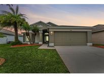 One-story house with attached garage, landscaped lawn, and palm trees at 5809 War Admiral Dr, Wesley Chapel, FL 33544