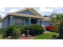 Attractive one-story home with a blue exterior, landscaping, and a two-car garage at 24745 Portofino Dr, Lutz, FL 33559