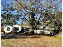 House exterior with mature tree and fenced yard at 4814 Northdale Blvd, Tampa, FL 33624