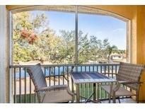 Screened balcony with seating, overlooking a peaceful lake and lush trees at 6816 Dali Ave # E206, Land O Lakes, FL 34637