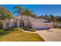 Attractive single-story home with a two-car garage and lush landscaping at 4325 Swift Cir, Valrico, FL 33596