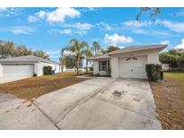 House exterior featuring a one-story home with a garage and driveway at 8419 Quarter Horse Dr, Riverview, FL 33578